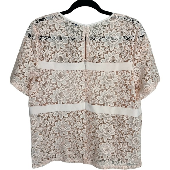 Rebecca Minkoff lace floral sheer zip up blouse top size L - Picture 2 of 12